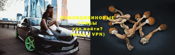 гидропоника Горняк