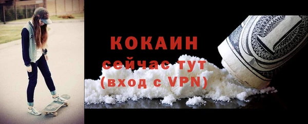 гидропоника Горняк