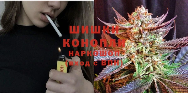 PSILOCYBIN Горно-Алтайск