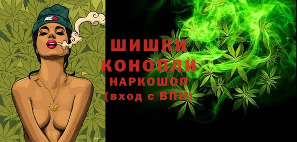 гидропоника Горняк