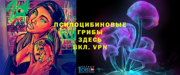 2c-b Горнозаводск