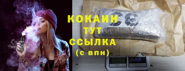 гидропоника Горняк