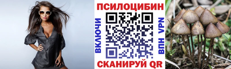 Галлюциногенные грибы MAGIC MUSHROOMS  Купить  Шлиссельбург 